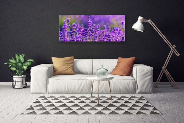 Obraz Canvas Pole fialová levanduľa 125x50 cm