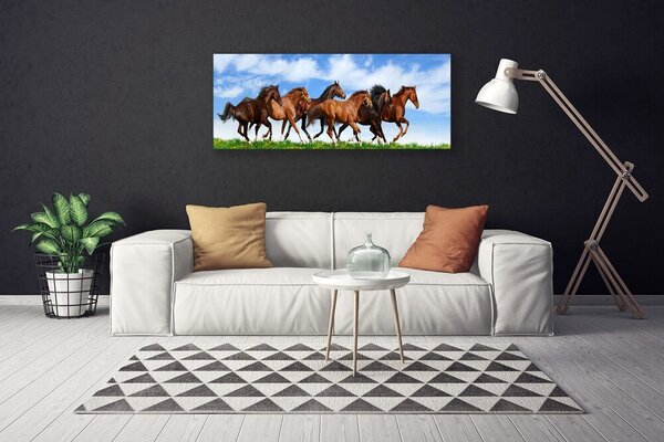Obraz Canvas Cválajúci kone na pastvine 125x50 cm