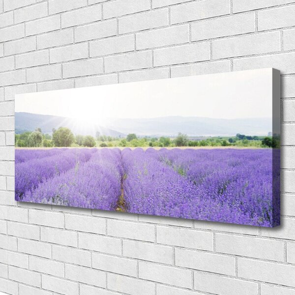Obraz Canvas Pole levanduľa príroda lúka 125x50 cm