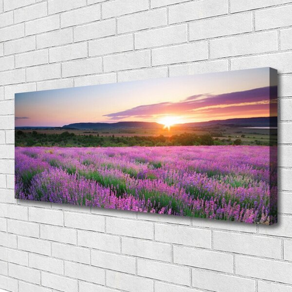 Obraz Canvas Levanduľa pole lúka západ 125x50 cm