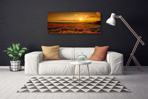 Obraz Canvas Pole maky západ slnka lúka 125x50 cm