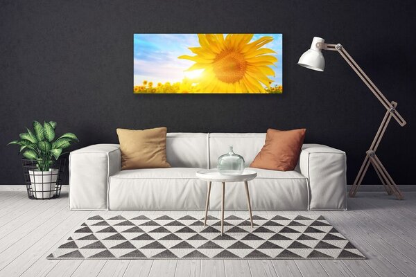 Obraz Canvas Slnečnica kvet slnko 125x50 cm