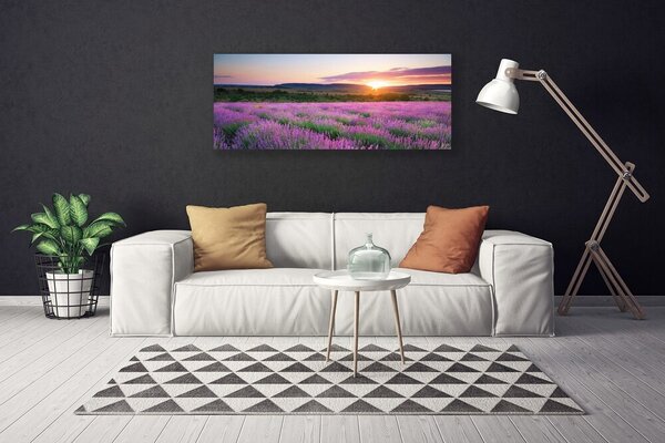 Obraz Canvas Levanduľa pole lúka západ 125x50 cm