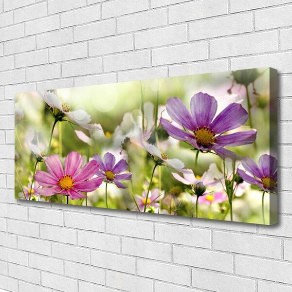 Obraz Canvas Kvety rastlina príroda 125x50 cm