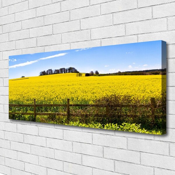 Obraz Canvas Pole rastlina krajina 125x50 cm
