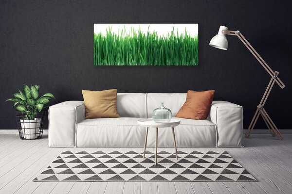 Obraz Canvas Tráva príroda rastlina 125x50 cm