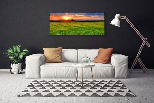 Obraz Canvas Lúka slnko príroda 125x50 cm