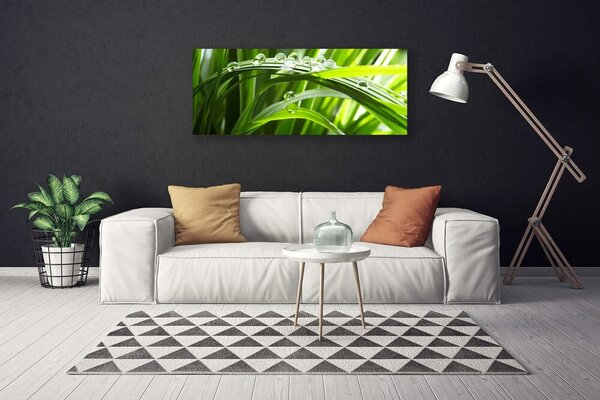 Obraz Canvas Tráva voda kvapky príroda 125x50 cm