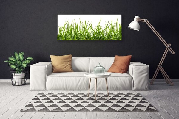 Obraz Canvas Tráva príroda rastlina 125x50 cm
