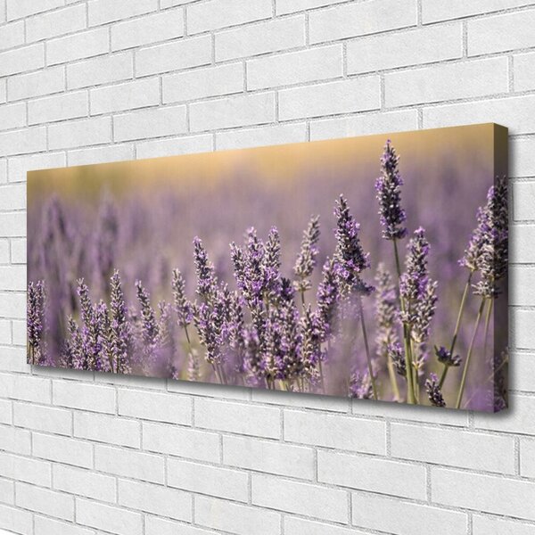 Obraz Canvas Kvety rastlina príroda 125x50 cm