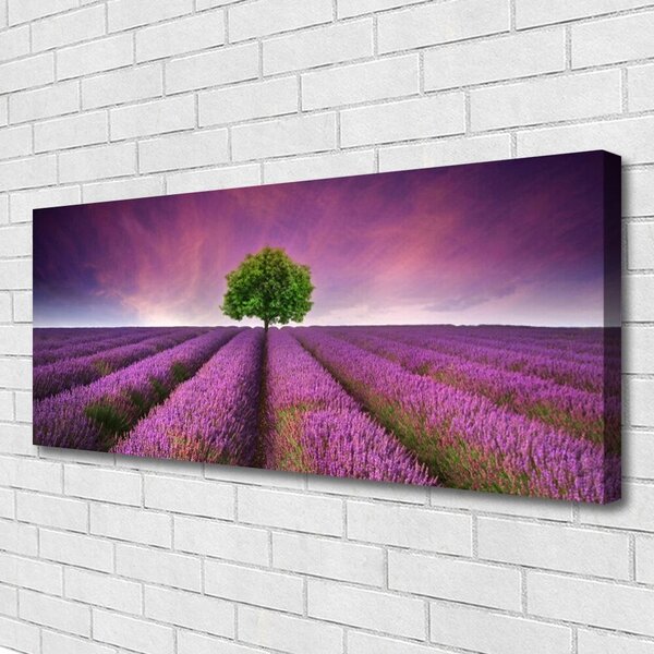Obraz Canvas Lúka strom príroda 125x50 cm