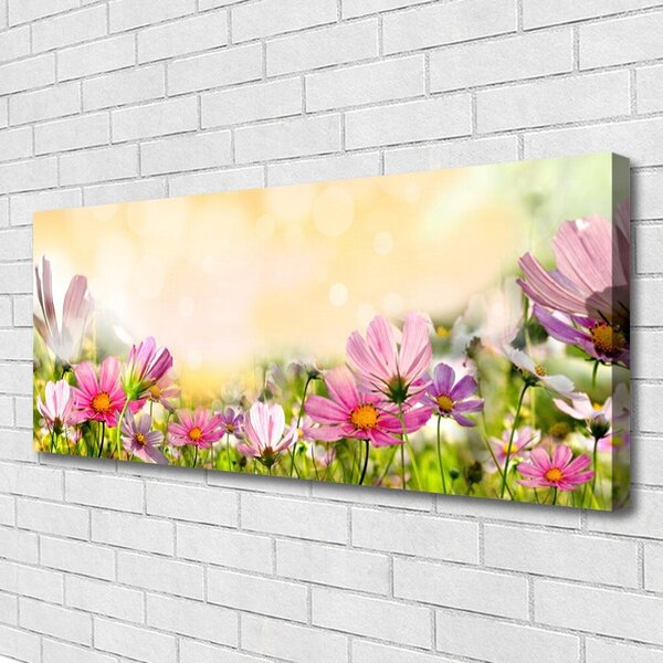 Obraz Canvas Kvety rastlina príroda 125x50 cm