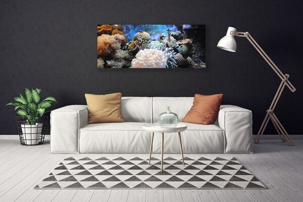 Obraz Canvas Koralový útes príroda 125x50 cm