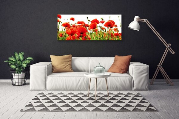 Obraz Canvas Maky rastlina príroda 125x50 cm