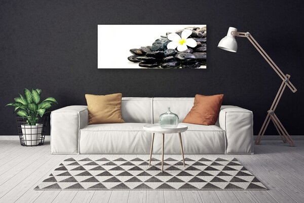 Obraz Canvas Kvety kamene umenie 125x50 cm