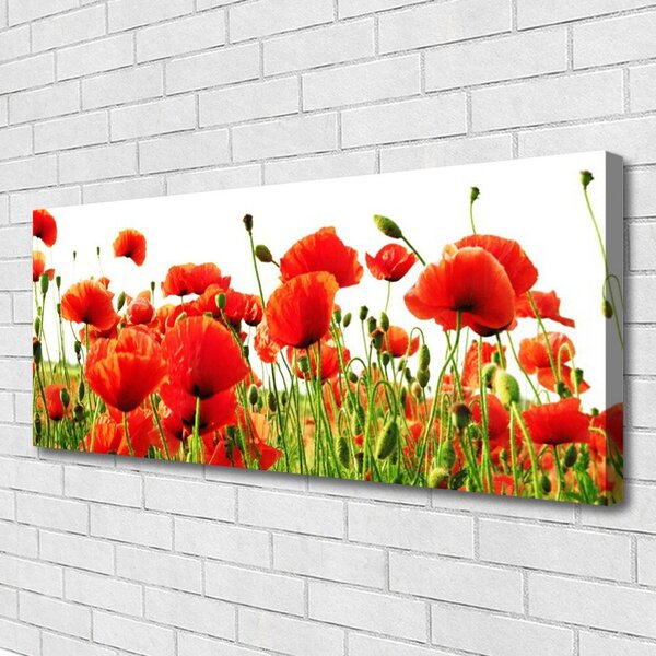 Obraz Canvas Maky rastlina príroda 125x50 cm