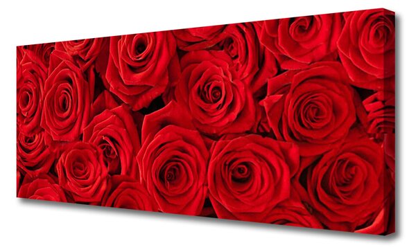 Obraz Canvas Ruže kvety rastlina 125x50 cm