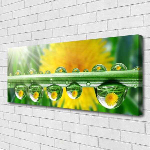 Obraz Canvas Stonka kvapky rosa rastlina 125x50 cm