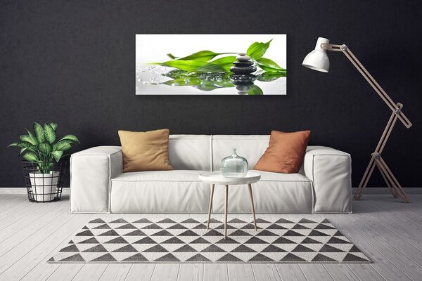 Obraz Canvas Kamene listy umenie 125x50 cm