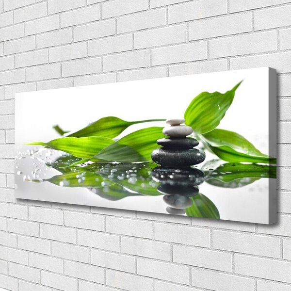 Obraz Canvas Kamene listy umenie 125x50 cm