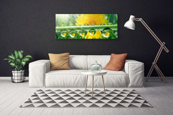 Obraz Canvas Stonka kvapky rosa rastlina 125x50 cm