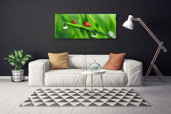 Obraz Canvas Lienka tráva kvapky 125x50 cm
