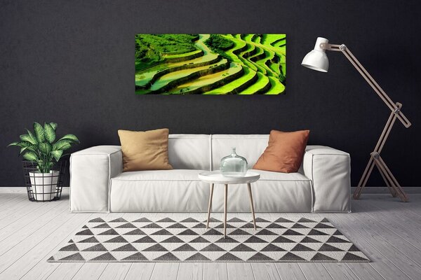 Obraz Canvas Pole ryža les umenie 125x50 cm