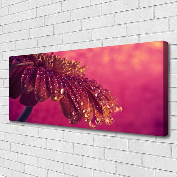 Obraz Canvas Strom príroda rastlina 125x50 cm