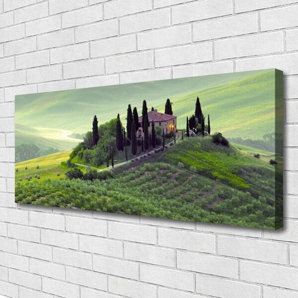 Obraz Canvas Lúka stromy príroda 125x50 cm