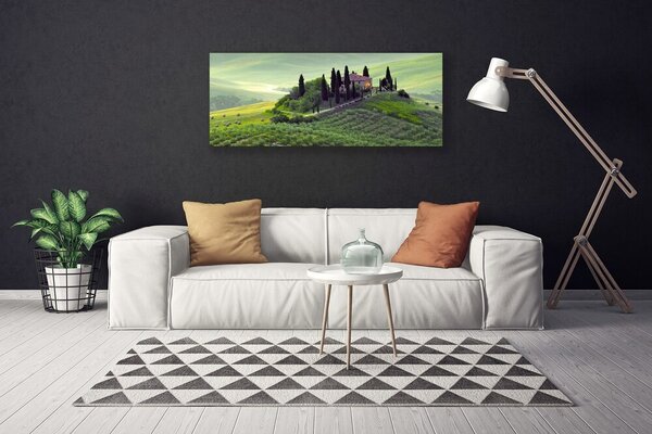 Obraz Canvas Lúka stromy príroda 125x50 cm