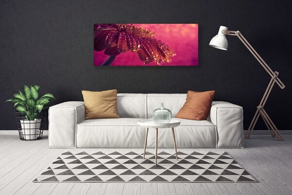 Obraz Canvas Strom príroda rastlina 125x50 cm