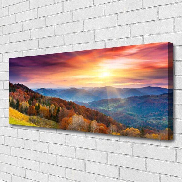 Obraz Canvas Hora les slnko krajina 125x50 cm