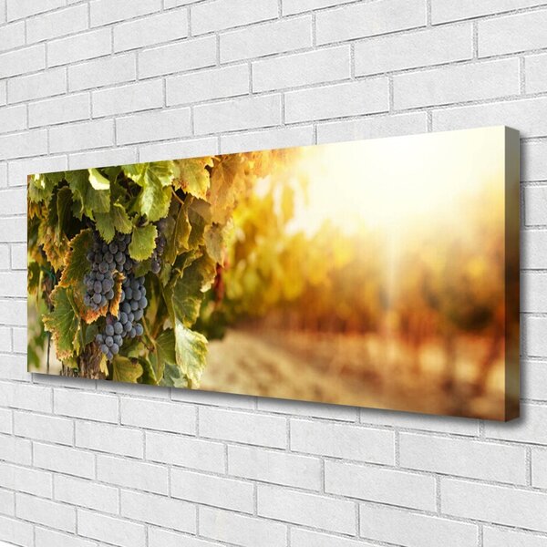 Obraz Canvas Hrozno listy kuchyňa 125x50 cm