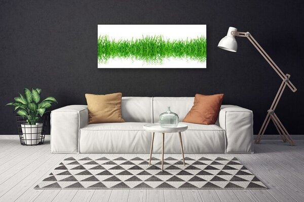 Obraz Canvas Tráva rastlina príroda 125x50 cm
