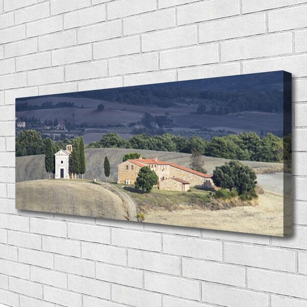 Obraz Canvas Lúka stromy príroda 125x50 cm