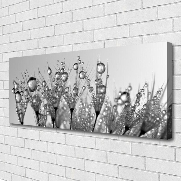 Obraz Canvas Abstrakcie rastlina príroda 125x50 cm