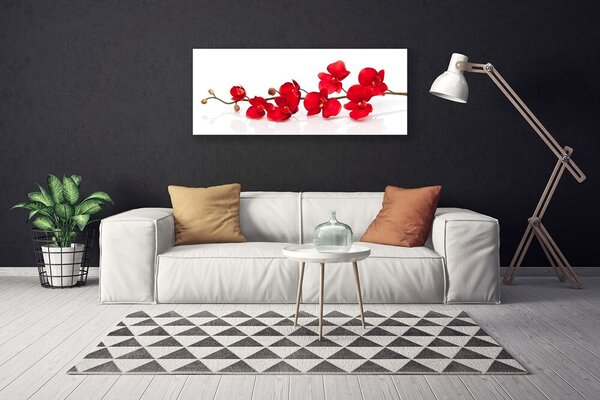 Obraz Canvas Kvety rastlina príroda 125x50 cm