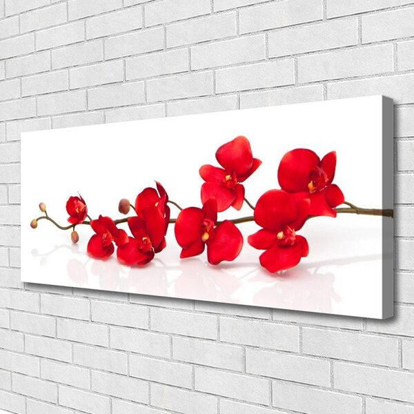 Obraz Canvas Kvety rastlina príroda 125x50 cm