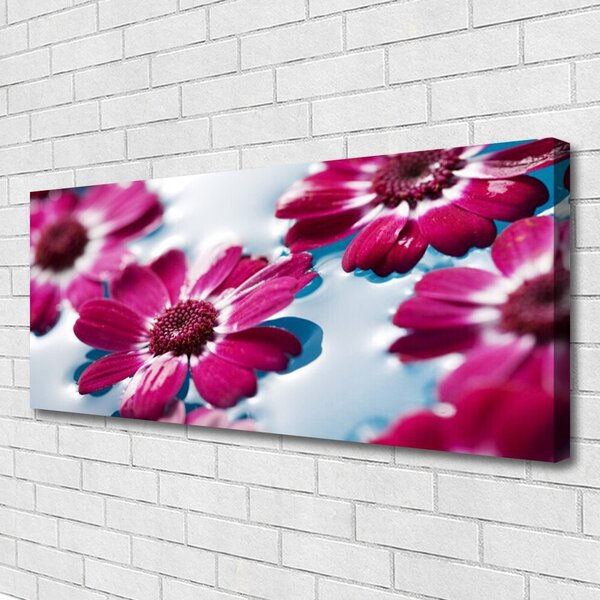Obraz Canvas Kvety na vode príroda 125x50 cm