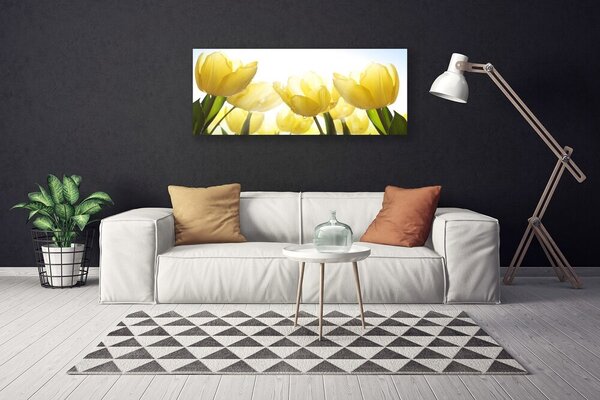 Obraz Canvas Tulipány kvety lúče 125x50 cm