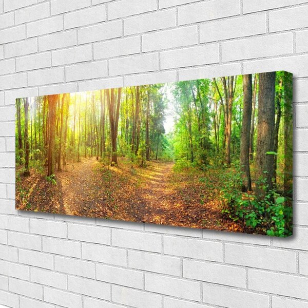 Obraz Canvas Slnko príroda lesné chodník 125x50 cm
