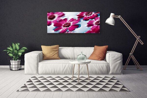 Obraz Canvas Kvety na vode príroda 125x50 cm