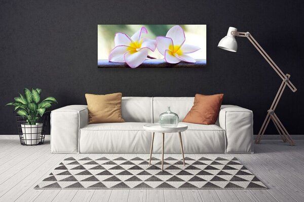 Obraz Canvas Kvety plátky plumérie 125x50 cm