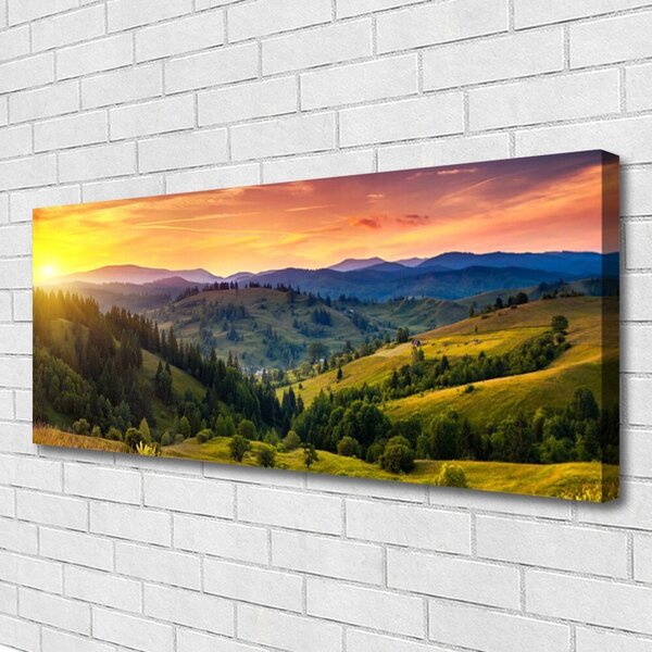 Obraz Canvas Krajina lúka západ 125x50 cm
