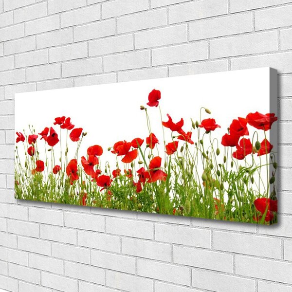 Obraz Canvas Lúka maky kvety príroda 125x50 cm