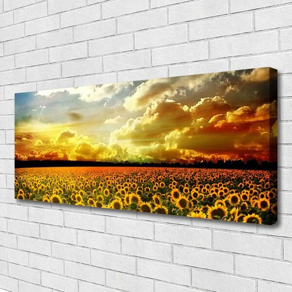 Obraz Canvas Pole slnečníc krajina 125x50 cm