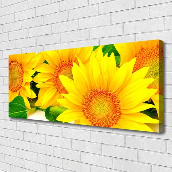 Obraz Canvas Slnečnica kvet príroda 125x50 cm