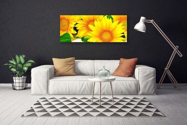 Obraz Canvas Slnečnica kvet príroda 125x50 cm