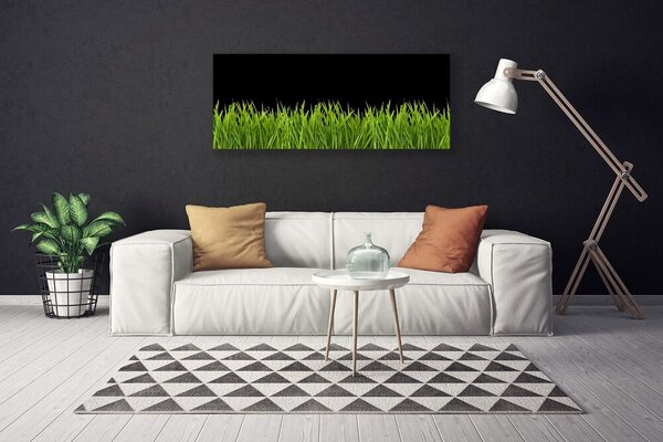 Obraz Canvas Zelená tráva príroda 125x50 cm