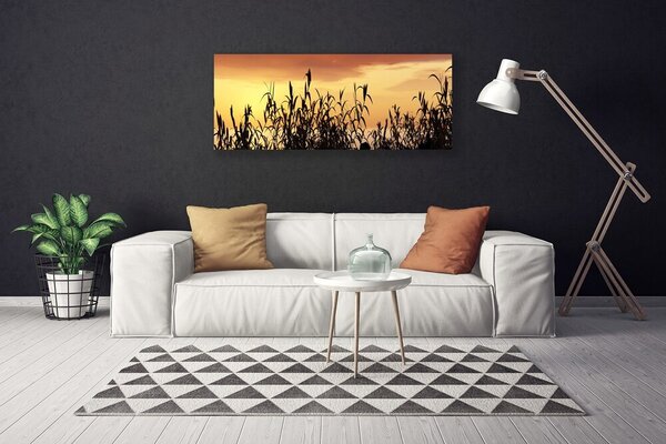 Obraz Canvas Listy západ lúka pole 125x50 cm